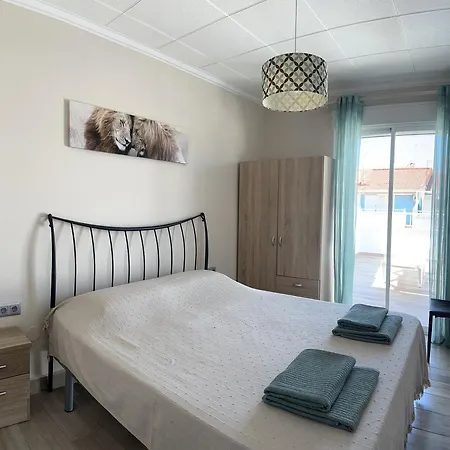 Benejuzar18 * 또레비에하